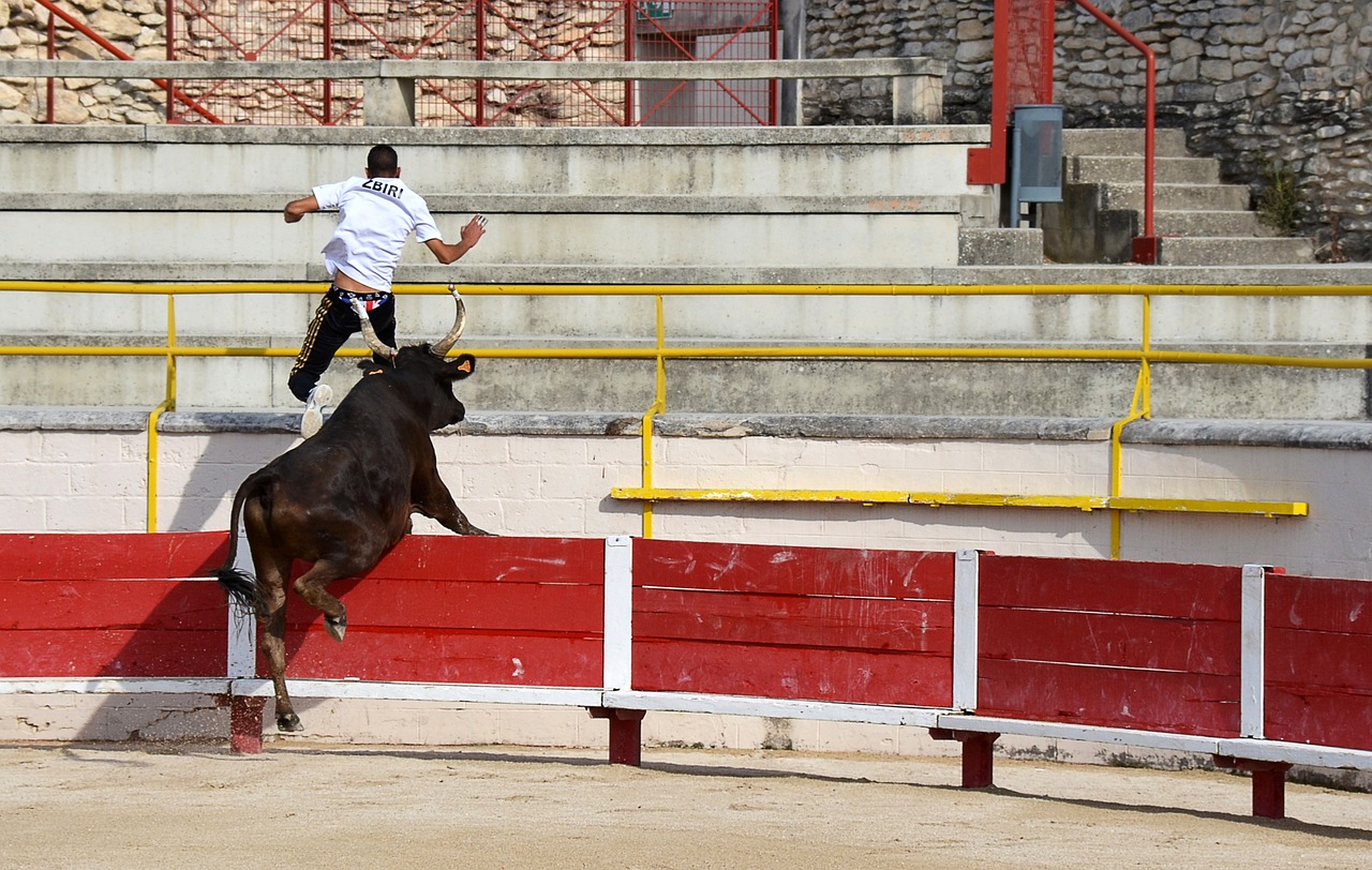 體驗