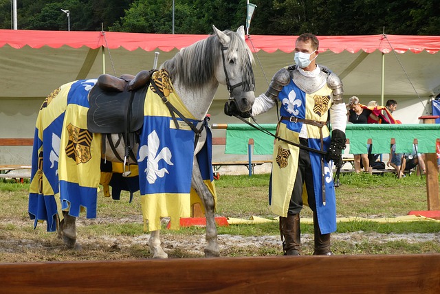 新一季马拉 新一季马拉