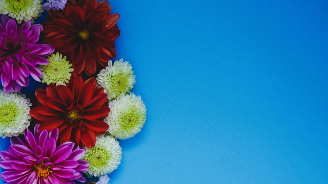 赛的反转 赛的反转