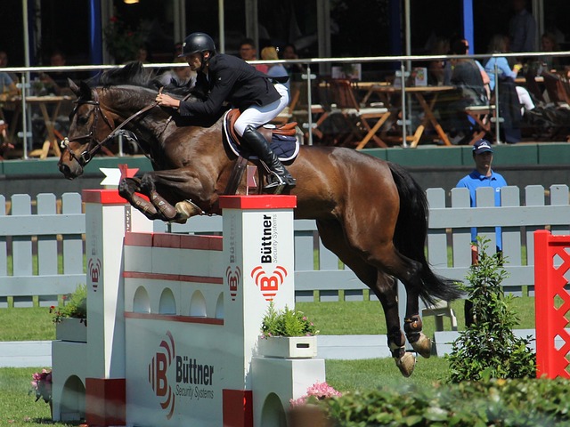 證明了努力 證明了努力