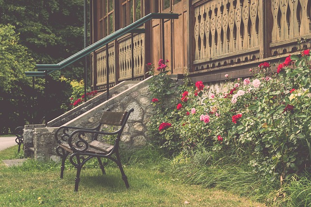 而这次失利 而这次失利